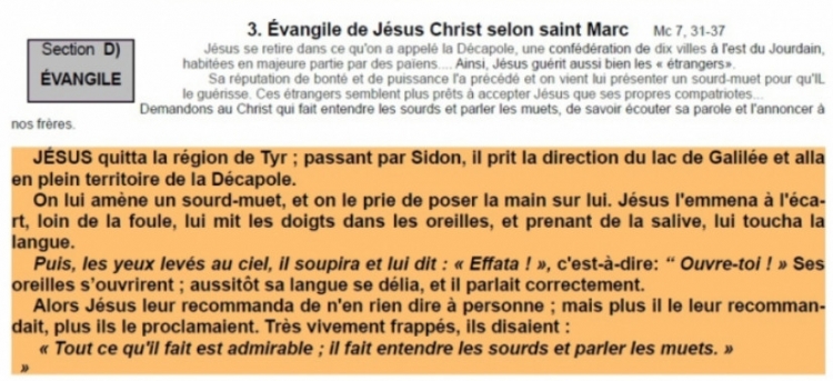 page-11.jpg
